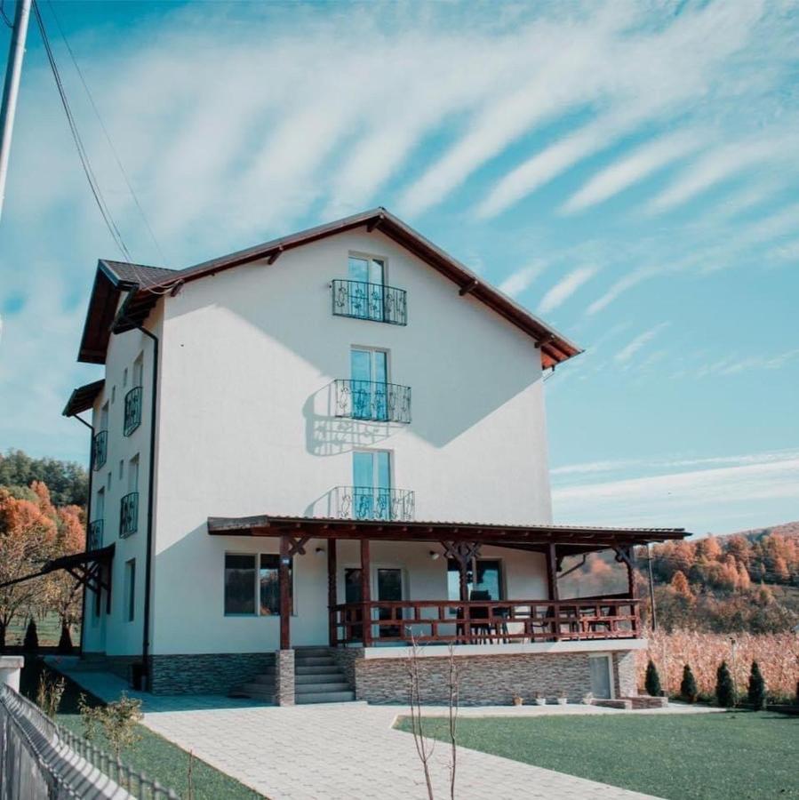 Casa Dumitru Hotel Ceraşul Екстериор снимка